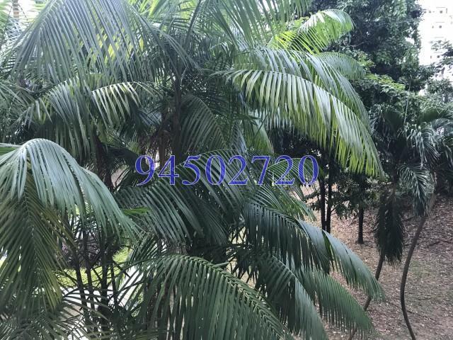 Blk 137 Rivervale Street (Sengkang), HDB 5 Rooms #151727392